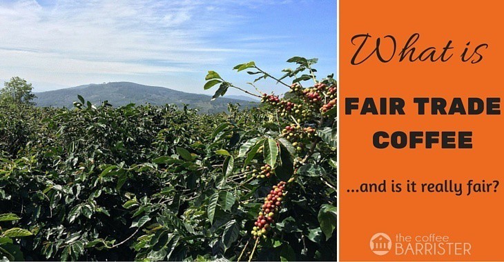 Read more about the article What Is Fair Trade Coffee? Is It Really Fair?