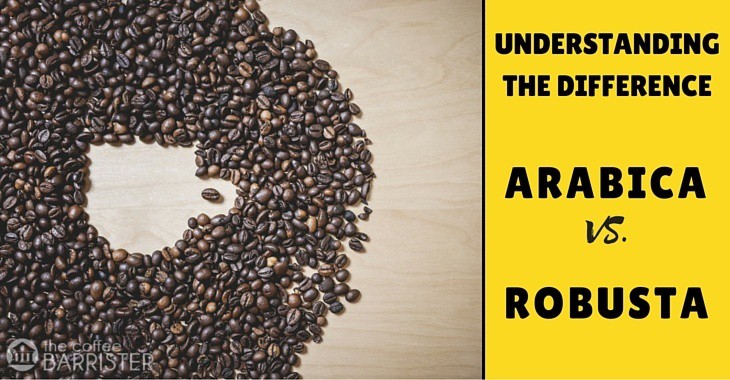 Read more about the article What’s the Difference Between Arabica and Robusta Coffee?